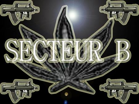                                   secteur B
